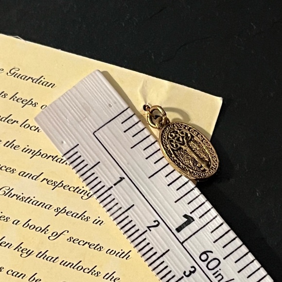 Christiana Guardian of Secrets Sculpted Pendant The Charming Angels Collection - Picture 5 of 10